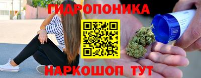 гидра Будённовск