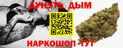 гидра Будённовск