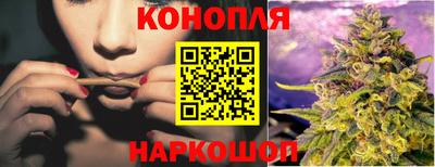 гидра Будённовск