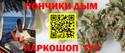гидра Будённовск