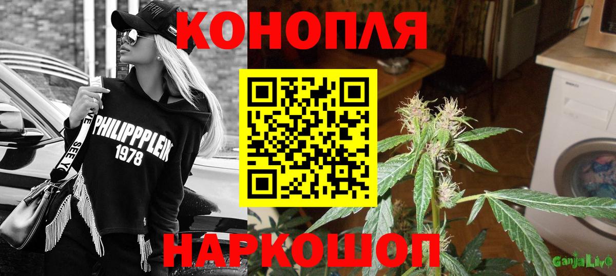 Бошки марихуана OG Kush Мытищи